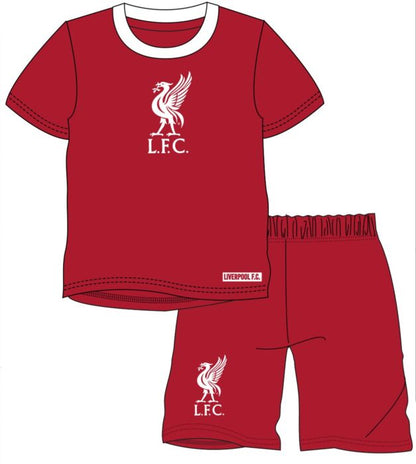 Pack of 12 Men's Liverpool FC Shorties PL1606